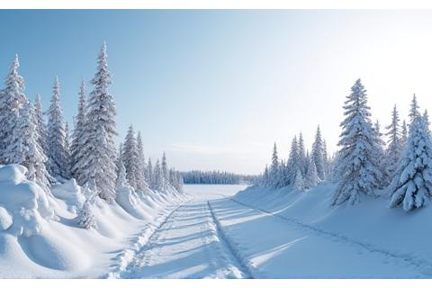 Snow-covered Yukon desert landscape with unique wind-sculpted snowdrifts and stark, silhouetted trees under a crisp, clear winter sky